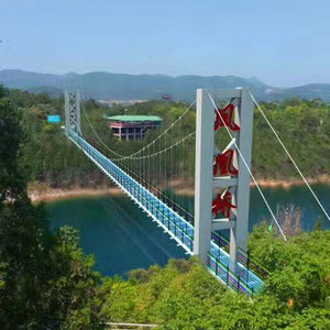 玻璃吊桥 (6)